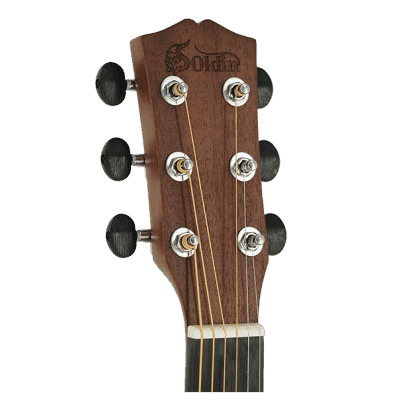 SA-3631-HEAD.png