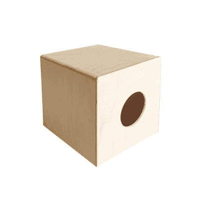 AM-05-BACK.png